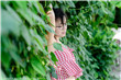 特种兵之霸上女军王